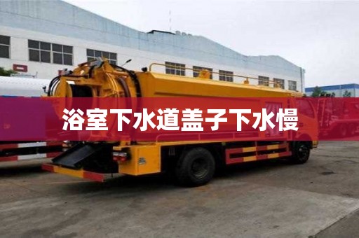 浴室下水道蓋子下水慢