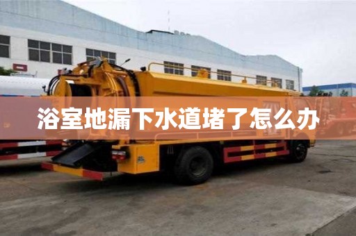 浴室地漏下水道堵了怎么辦 浴室地漏下水道堵了怎么辦