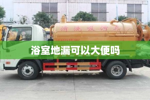 浴室地漏可以大便嗎