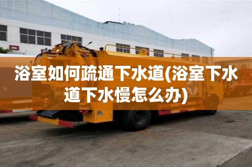 浴室如何疏通下水道(浴室下水道下水慢怎么辦)