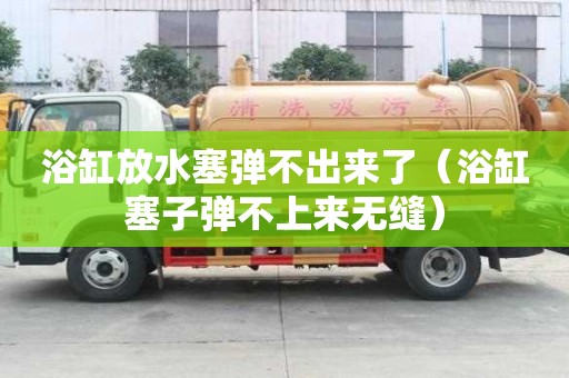 浴缸放水塞彈不出來了（浴缸塞子彈不上來無縫）