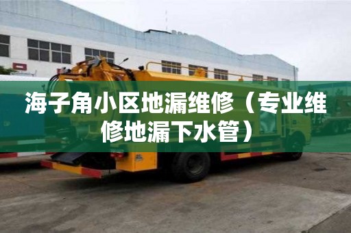 海子角小區(qū)地漏維修（專業(yè)維修地漏下水管）