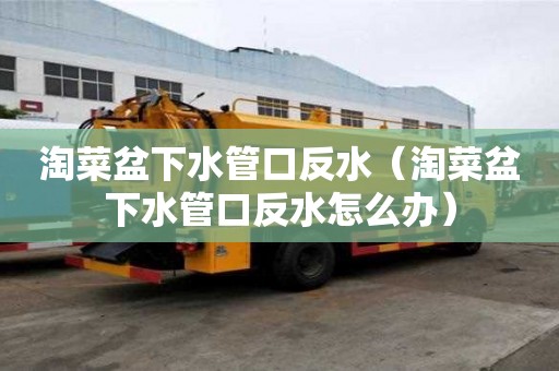 淘菜盆下水管口反水（淘菜盆下水管口反水怎么辦）