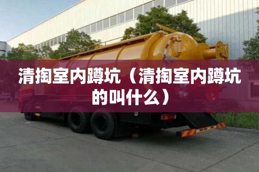 清掏室內蹲坑（清掏室內蹲坑的叫什么）