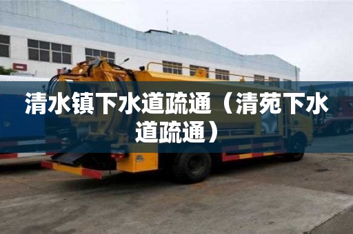 清水鎮下水道疏通（清苑下水道疏通）