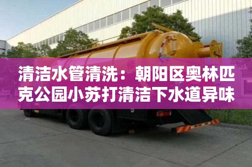清潔水管清洗：朝陽區奧林匹克公園小蘇打清潔下水道異味