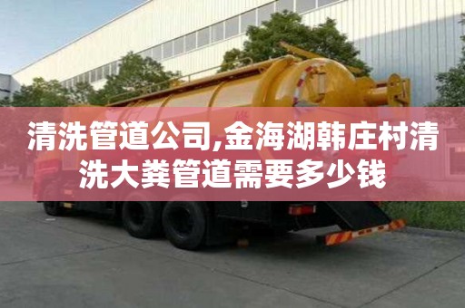 清洗管道公司,金海湖韓莊村清洗大糞管道需要多少錢