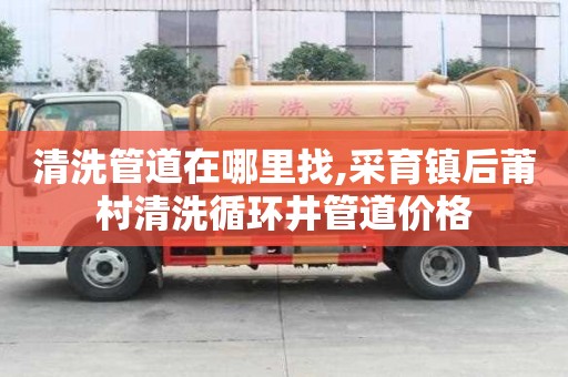 清洗管道在哪里找,采育鎮后莆村清洗循環井管道價格