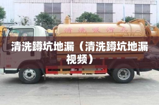 清洗蹲坑地漏(清洗蹲坑地漏視頻) 清洗蹲坑地漏(清洗蹲坑地漏視頻)