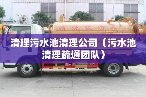 清理污水池清理公司（污水池清理疏通團(tuán)隊(duì)）