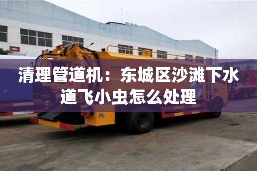 清理管道機：東城區沙灘下水道飛小蟲怎么處理