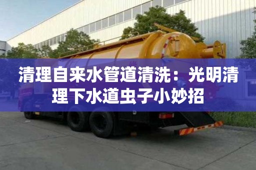 清理自來水管道清洗：光明清理下水道蟲子小妙招