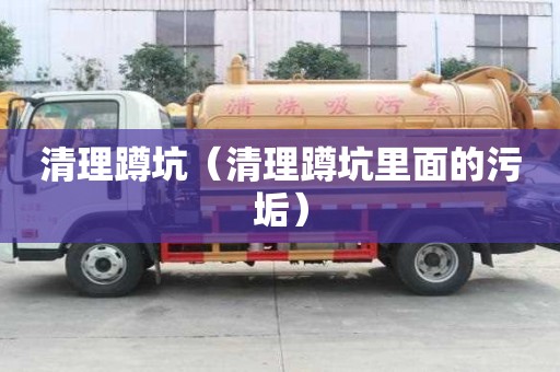 清理蹲坑（清理蹲坑里面的污垢）