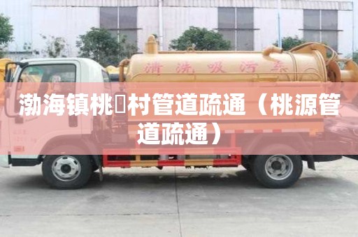 渤海鎮(zhèn)桃硲村管道疏通（桃源管道疏通）