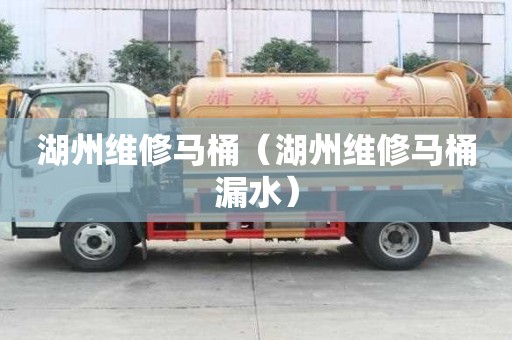 湖州維修馬桶（湖州維修馬桶漏水）