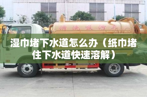 濕巾堵下水道怎么辦（紙巾堵住下水道快速溶解）