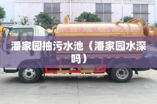 潘家園抽污水池（潘家園水深嗎）