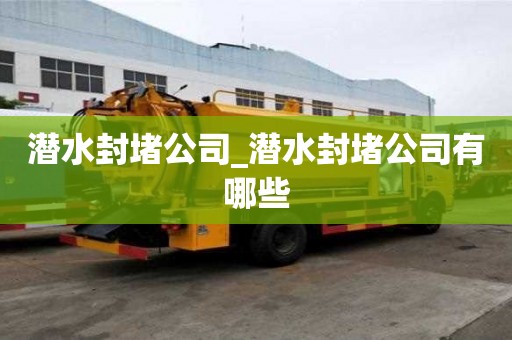 潛水封堵公司_潛水封堵公司有哪些