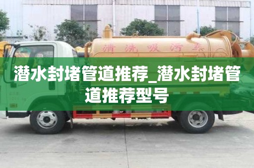潛水封堵管道推薦_潛水封堵管道推薦型號(hào)