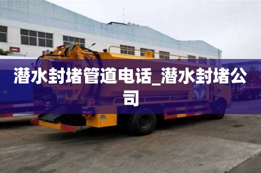 潛水封堵管道電話_潛水封堵公司