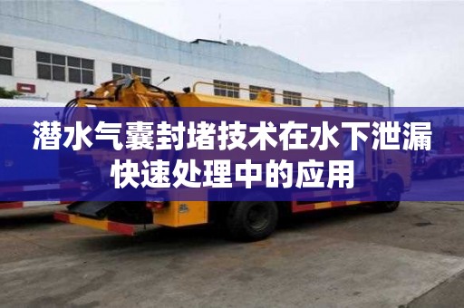 潛水氣囊封堵技術(shù)在水下泄漏快速處理中的應(yīng)用