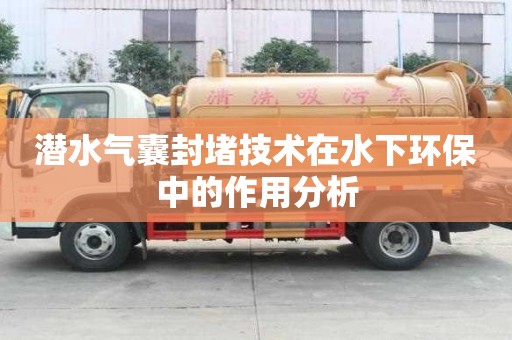 潛水氣囊封堵技術(shù)在水下環(huán)保中的作用分析