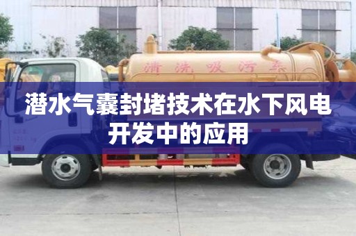 潛水氣囊封堵技術(shù)在水下風(fēng)電開發(fā)中的應(yīng)用