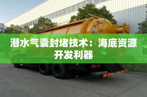 潛水氣囊封堵技術：海底資源開發利器