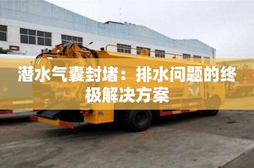 潛水氣囊封堵：排水問題的終極解決方案