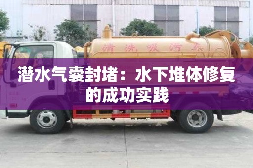 潛水氣囊封堵：水下堆體修復的成功實踐