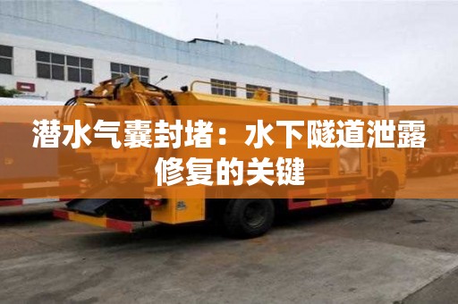 潛水氣囊封堵：水下隧道泄露修復的關鍵