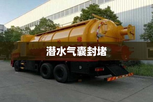 潛水氣囊封堵