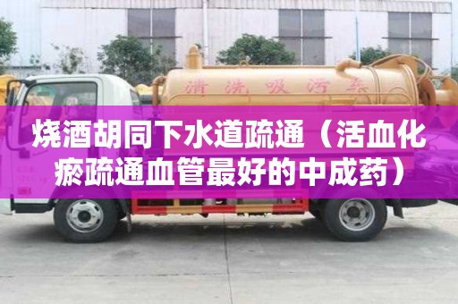 燒酒胡同下水道疏通（活血化瘀疏通血管最好的中成藥）