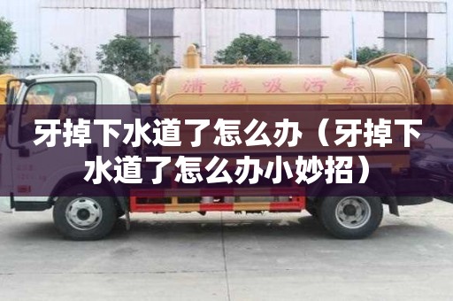 牙掉下水道了怎么辦（牙掉下水道了怎么辦小妙招）