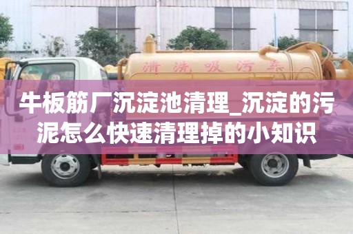 牛板筋廠沉淀池清理_沉淀的污泥怎么快速清理掉的小知識