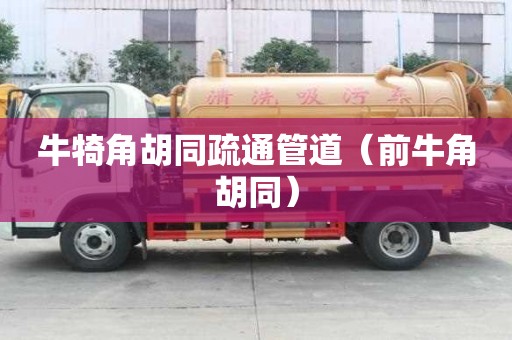 牛犄角胡同疏通管道（前牛角胡同）