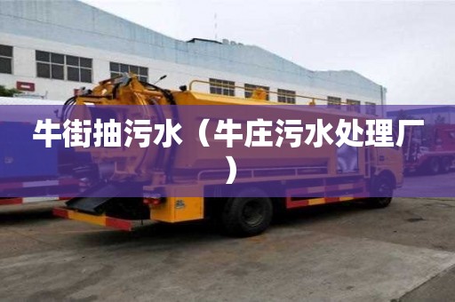 牛街抽污水（牛莊污水處理廠）