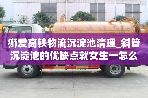 獅愛高鐵物流沉淀池清理_斜管沉淀池的優缺點就女生一怎么辦