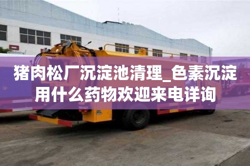 豬肉松廠沉淀池清理_色素沉淀用什么藥物歡迎來電詳詢