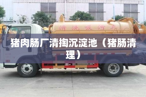 豬肉腸廠清掏沉淀池（豬腸清理）