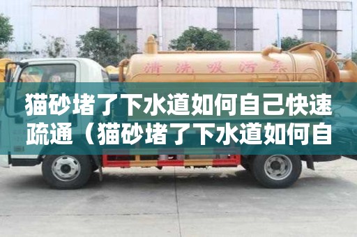 貓砂堵了下水道如何自己快速疏通（貓砂堵了下水道如何自己快速疏通）