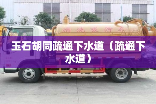 玉石胡同疏通下水道（疏通下水道）