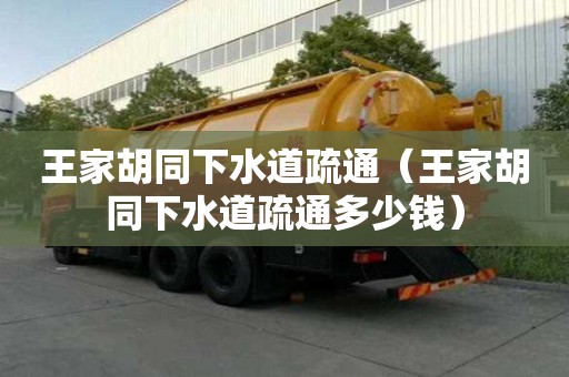 王家胡同下水道疏通（王家胡同下水道疏通多少錢）