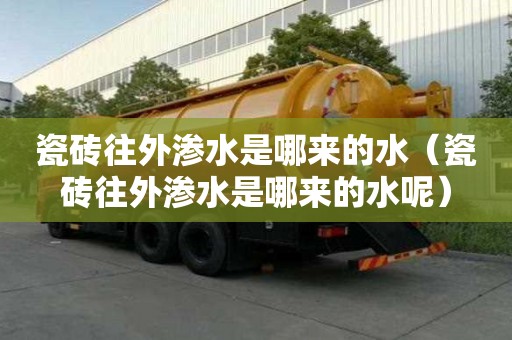 瓷磚往外滲水是哪來的水（瓷磚往外滲水是哪來的水呢）