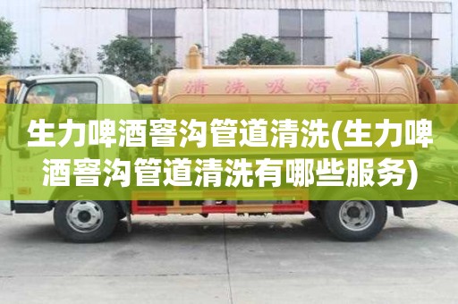 生力啤酒窨溝管道清洗(生力啤酒窨溝管道清洗有哪些服務)