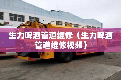 生力啤酒管道維修（生力啤酒管道維修視頻）