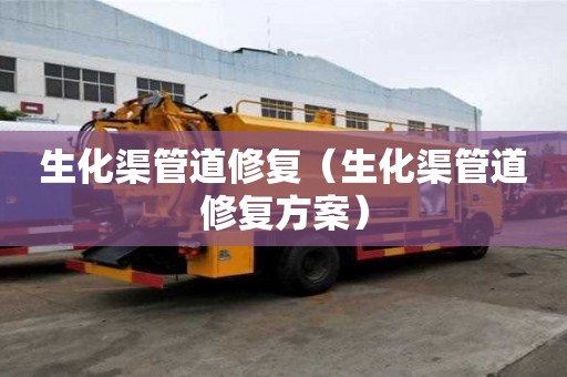 生化渠管道修復（生化渠管道修復方案）
