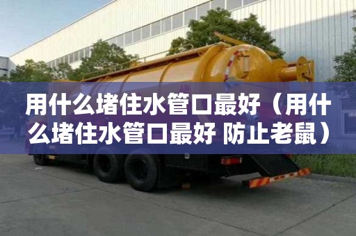 用什么堵住水管口最好（用什么堵住水管口最好 防止老鼠）