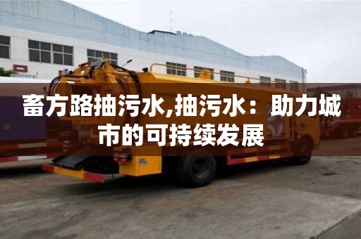 畜方路抽污水,抽污水：助力城市的可持續發展