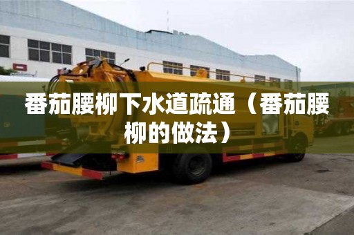 番茄腰柳下水道疏通（番茄腰柳的做法）